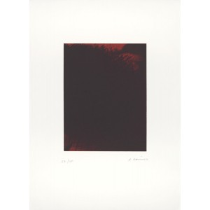 Art by Arnulf Rainer at Berliner Bilder Galerie in Berlin